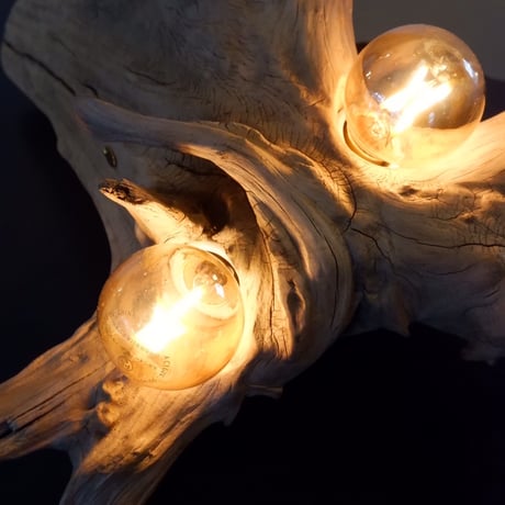 Driftwood table light