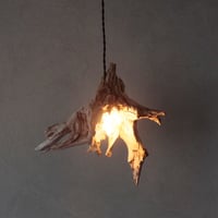 Driftwood roots crystal pendant light