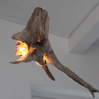 W Bulb driftwood pendant light