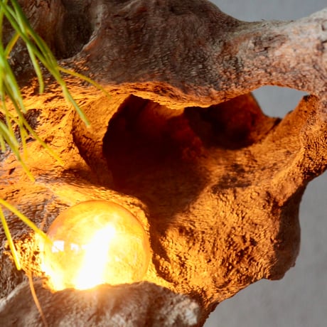 Wbulb table light