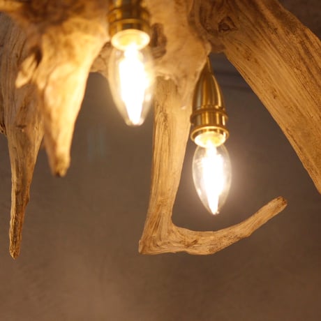 9bulbs Roots Chandelier