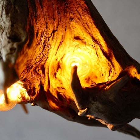 5bulbs Roots pendant light