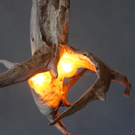 W bulb branch pendant light