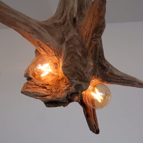 2bulb Driftwood longbranch pendant light