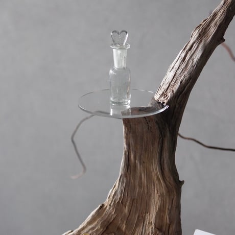 Driftwood Display stand