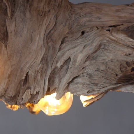 Volcano driftwood Wbulb light