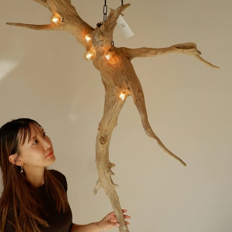 5bulb vartical driftwood light