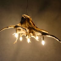 Driftwood Roots 5bulbs chandelier
