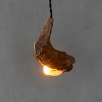 Driftwood pendant light