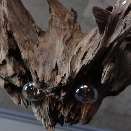 Volcano driftwood Wbulb light