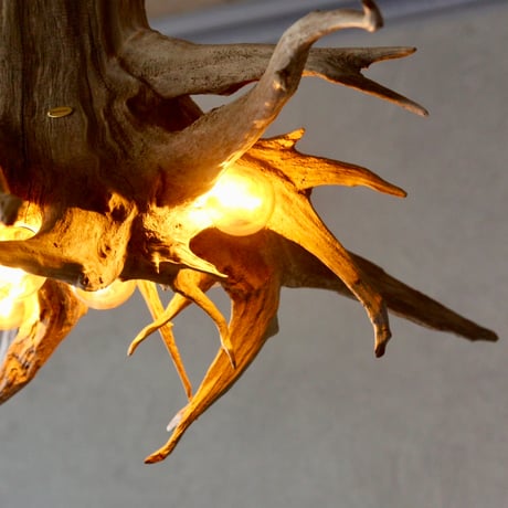 Winding Roots 5bulb pendant light
