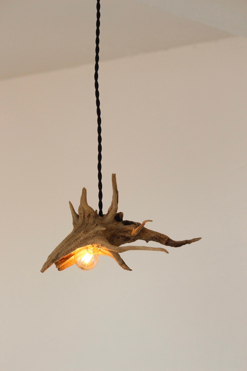 mini shark driftwood pendantlight