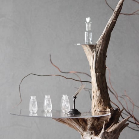 Driftwood Display stand