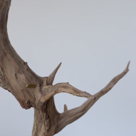Slim tali driftwood pendant light