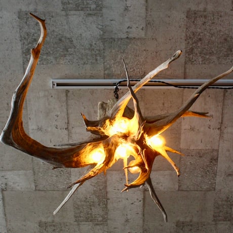 Winding Roots 5bulb pendant light