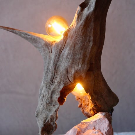 2bulbs Driftwood table light