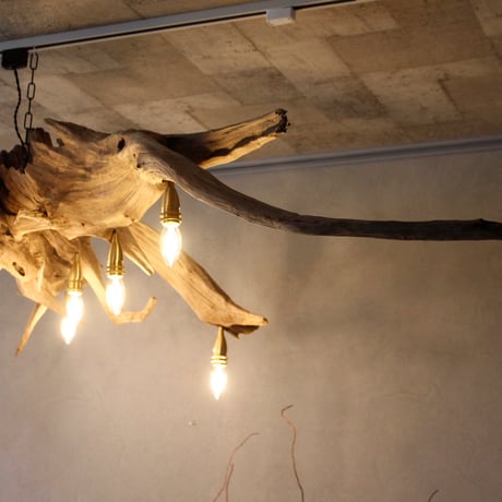 9bulbs Roots Chandelier