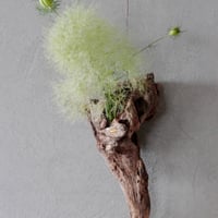 Hanging Flowervase#2