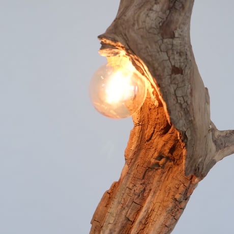 Slim tali driftwood pendant light