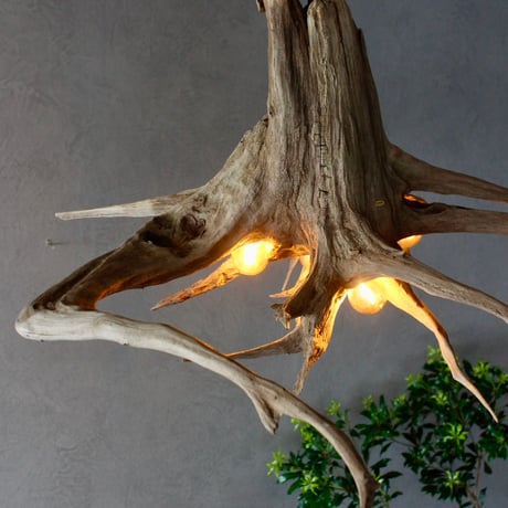 Winding Roots 5bulb pendant light