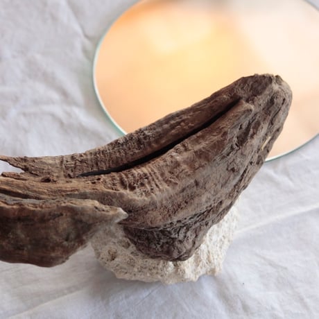 Driftwood stand mirror#2