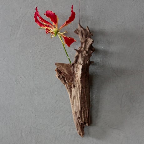 Hanging Flower vase#1