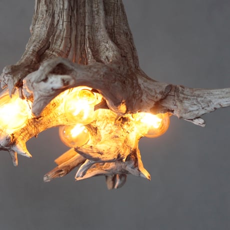 Driftwood roots pendant light