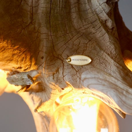 2bulbs Driftwood branch pendant light