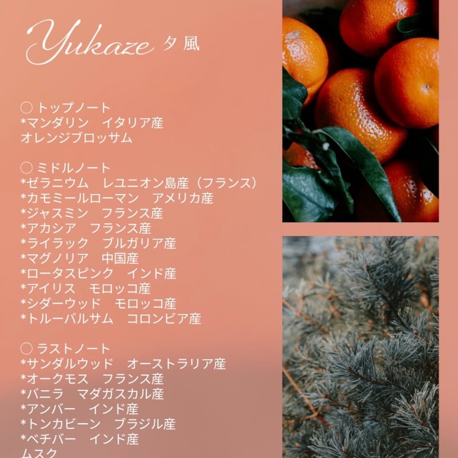 6a02cc247cf6bd08792918ed