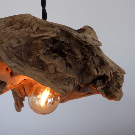 inclination shade pendant light