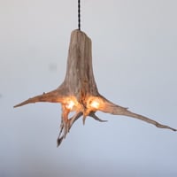 W bulb pendant light