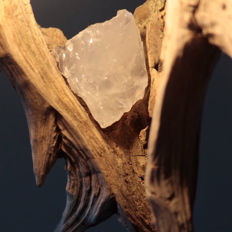 Driftwood roots crystal pendant light