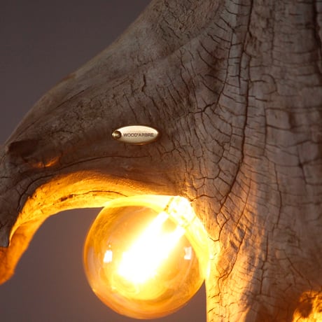 4bulbs driftwood  pendantlight