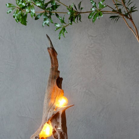 2bulbs Driftwood table light