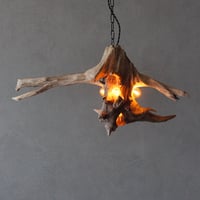 4bulbs Driftwood Large pendant  light