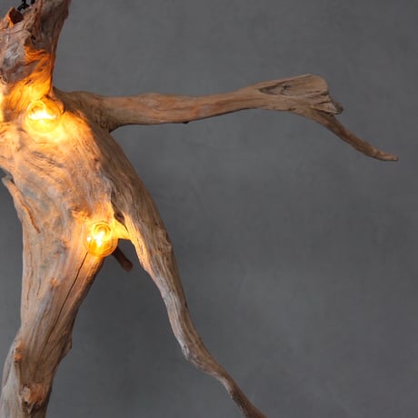 5bulb vartical driftwood light