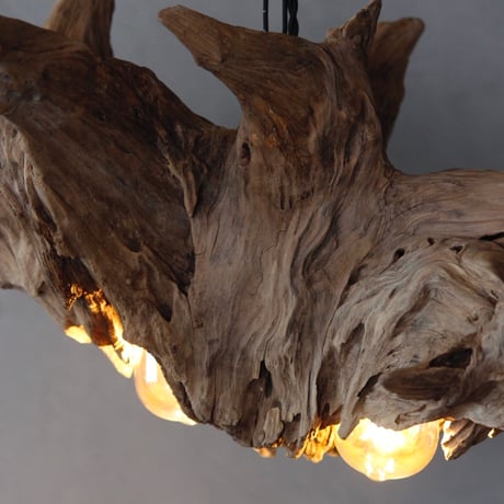 Volcano driftwood Wbulb light