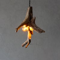 Driftwood branch 2bulbs pendant light