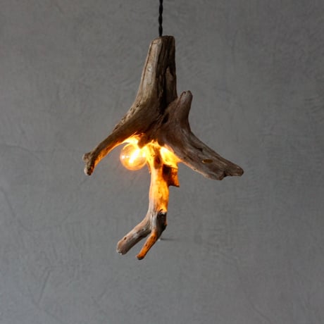 Driftwood branch 2bulbs pendant light