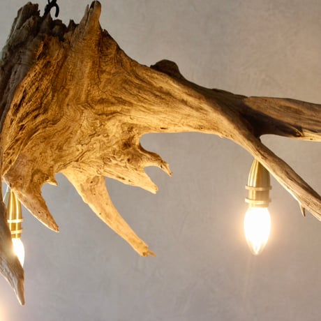 4bulbs Roots Chandelier