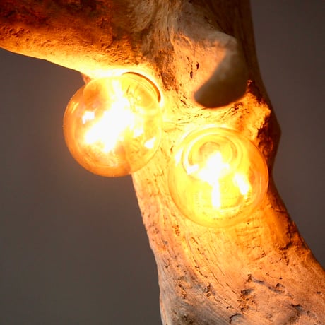 Driftwood branch pendant light