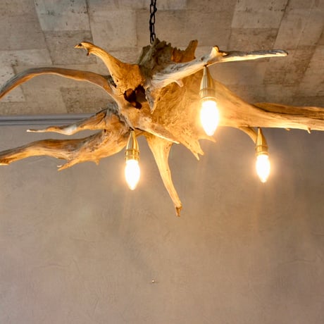 4bulbs Roots Chandelier