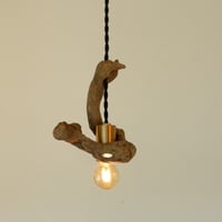 Spiral Driftwood pendant light