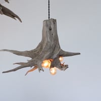 3bulbs driftwood roots light#5
