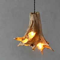 Small roots 3bulbs pendant light