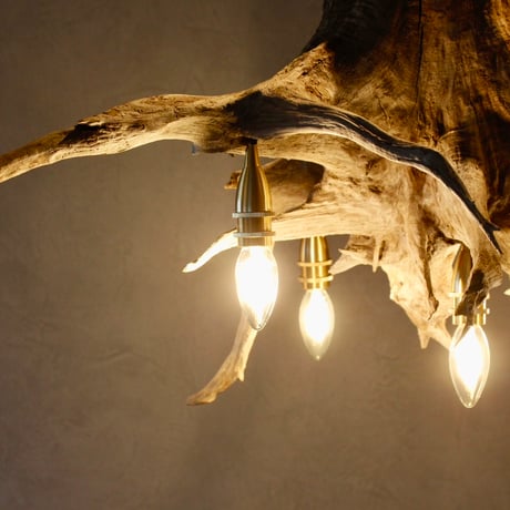 Driftwood Roots 5bulbs chandelier