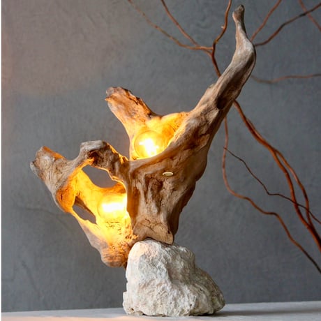 Driftwood 2bulbs table light