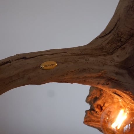 2bulb Driftwood longbranch pendant light