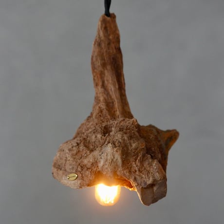 Driftwood pendant light