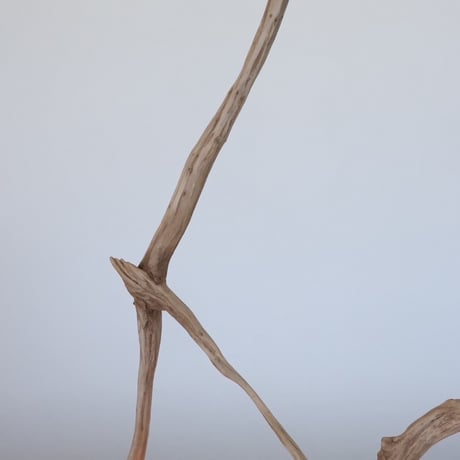 Slim branch table light